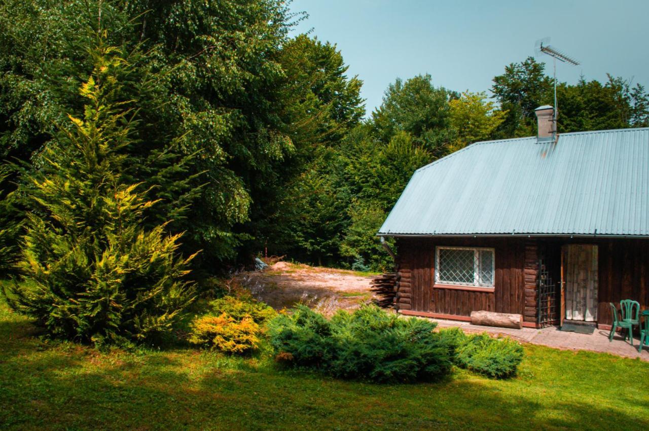 Villa Ptasi Spiew Futoma Esterno foto