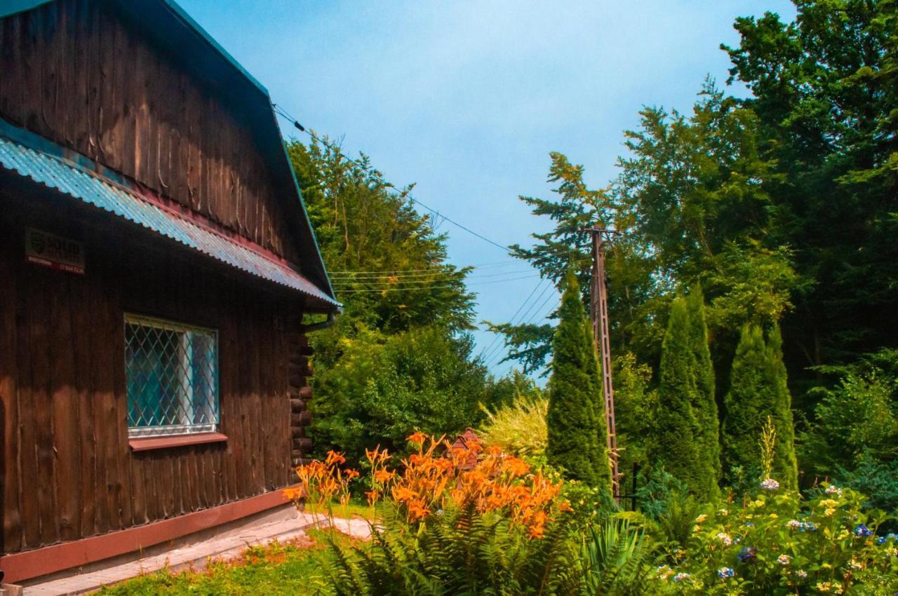 Villa Ptasi Spiew Futoma Esterno foto